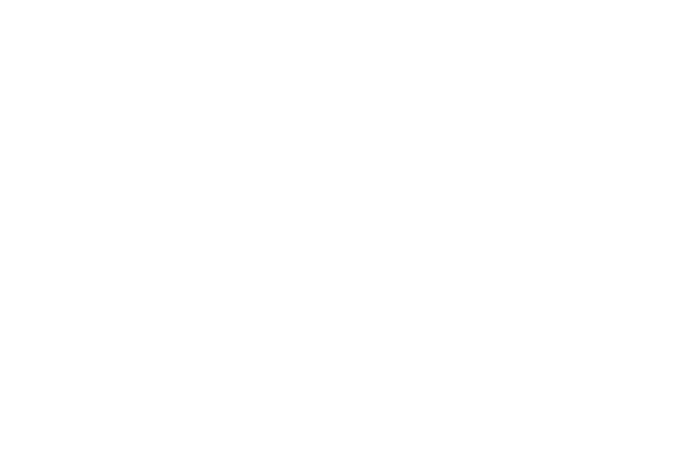  Advancement Institute Logo
