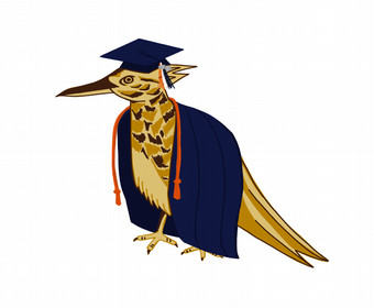 Student success is measured beyond graduation rates