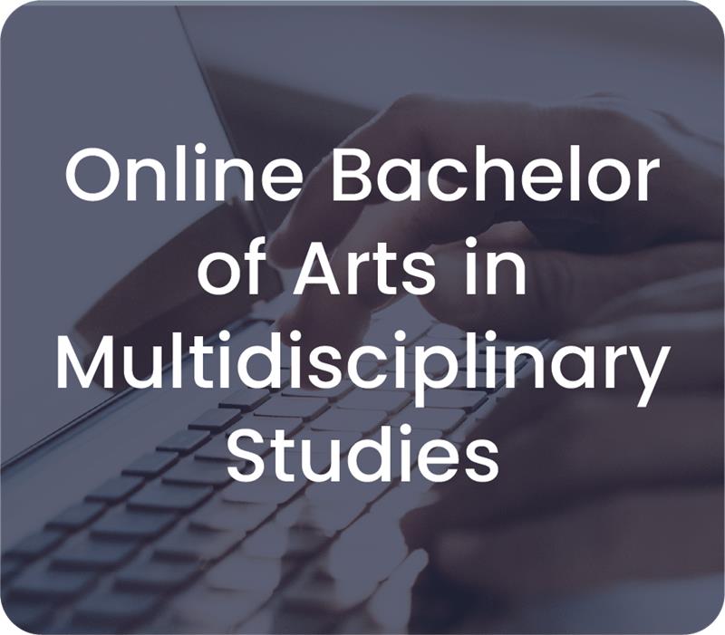 UTSA Online Bachelor of Arts in Multidisciplinary Studies