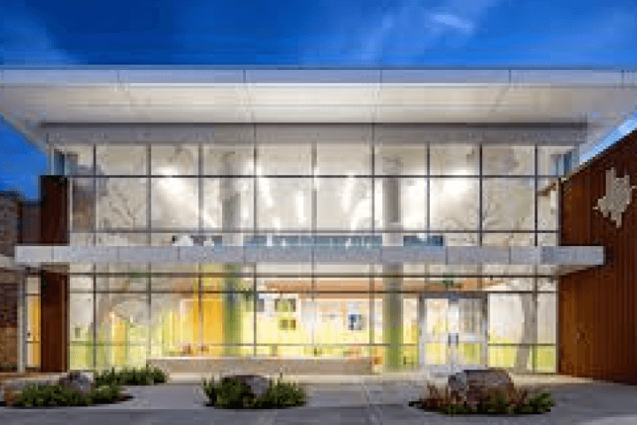 The Texas Hearing Institute