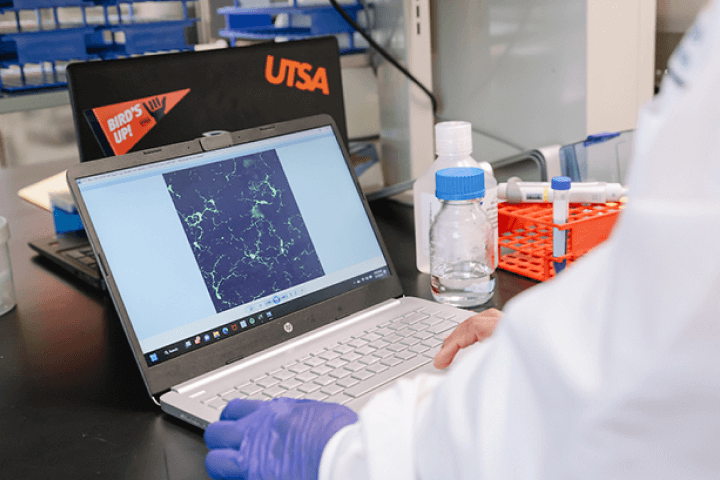 Student using a laptop with research on display